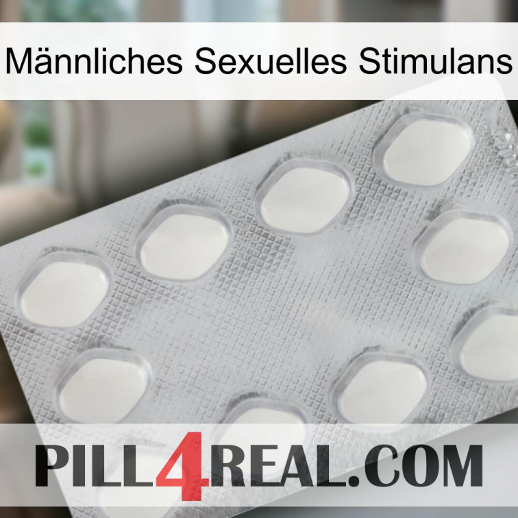 Männliches Sexuelles Stimulans 16